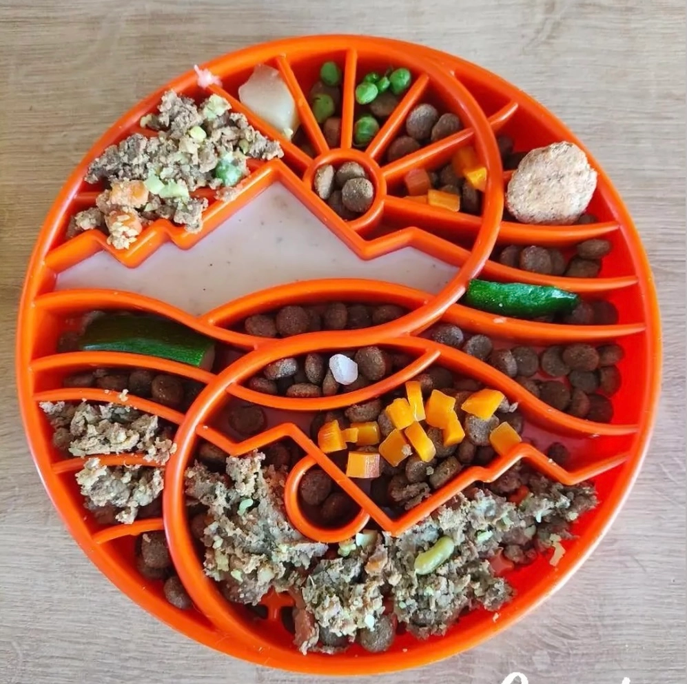 Slow Feeder Bowl - SodaPup
