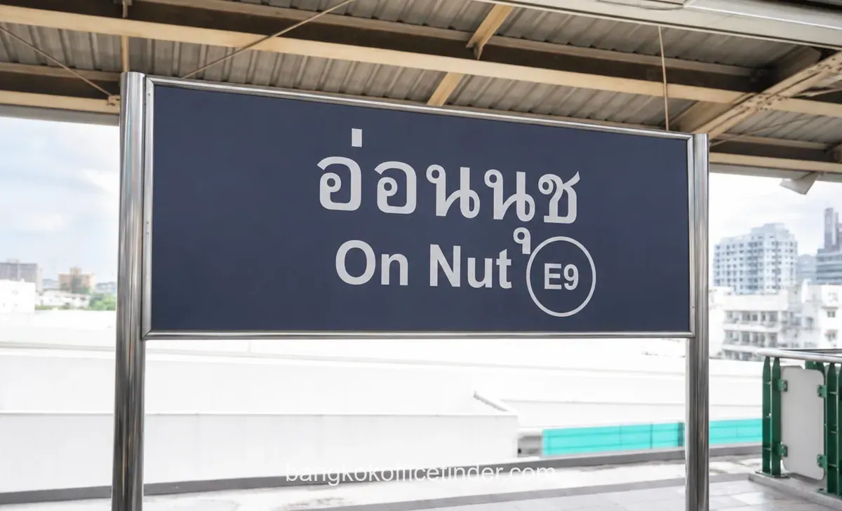 bts-on-nut.webp