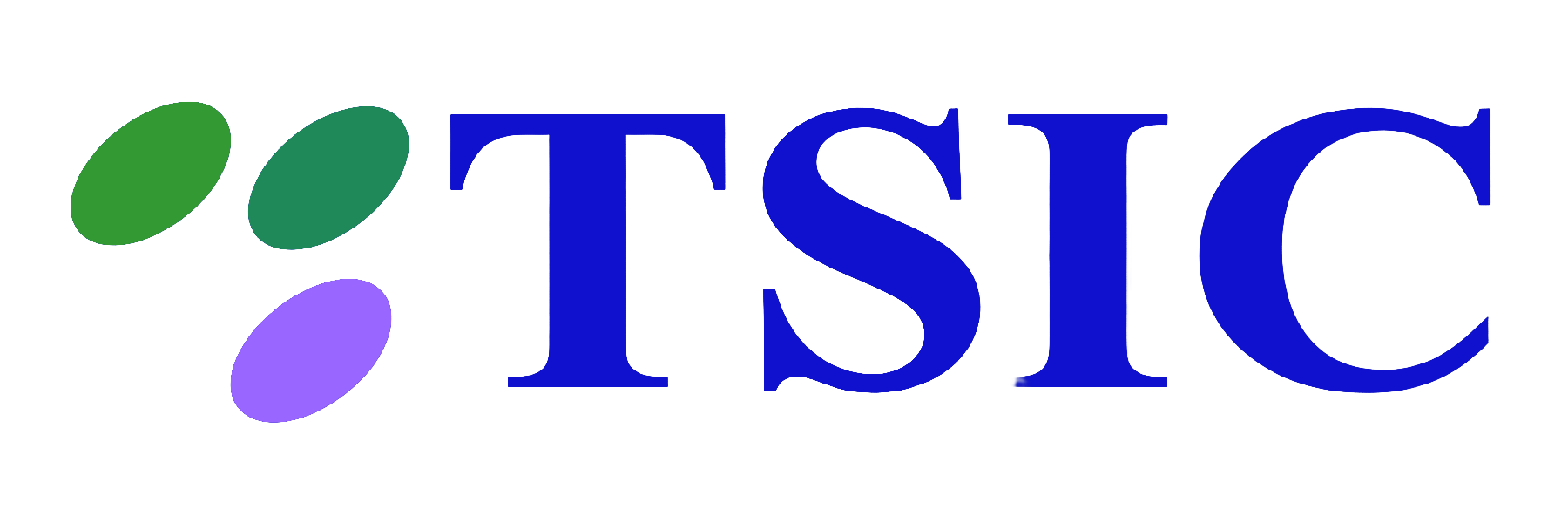 TSIC Logo