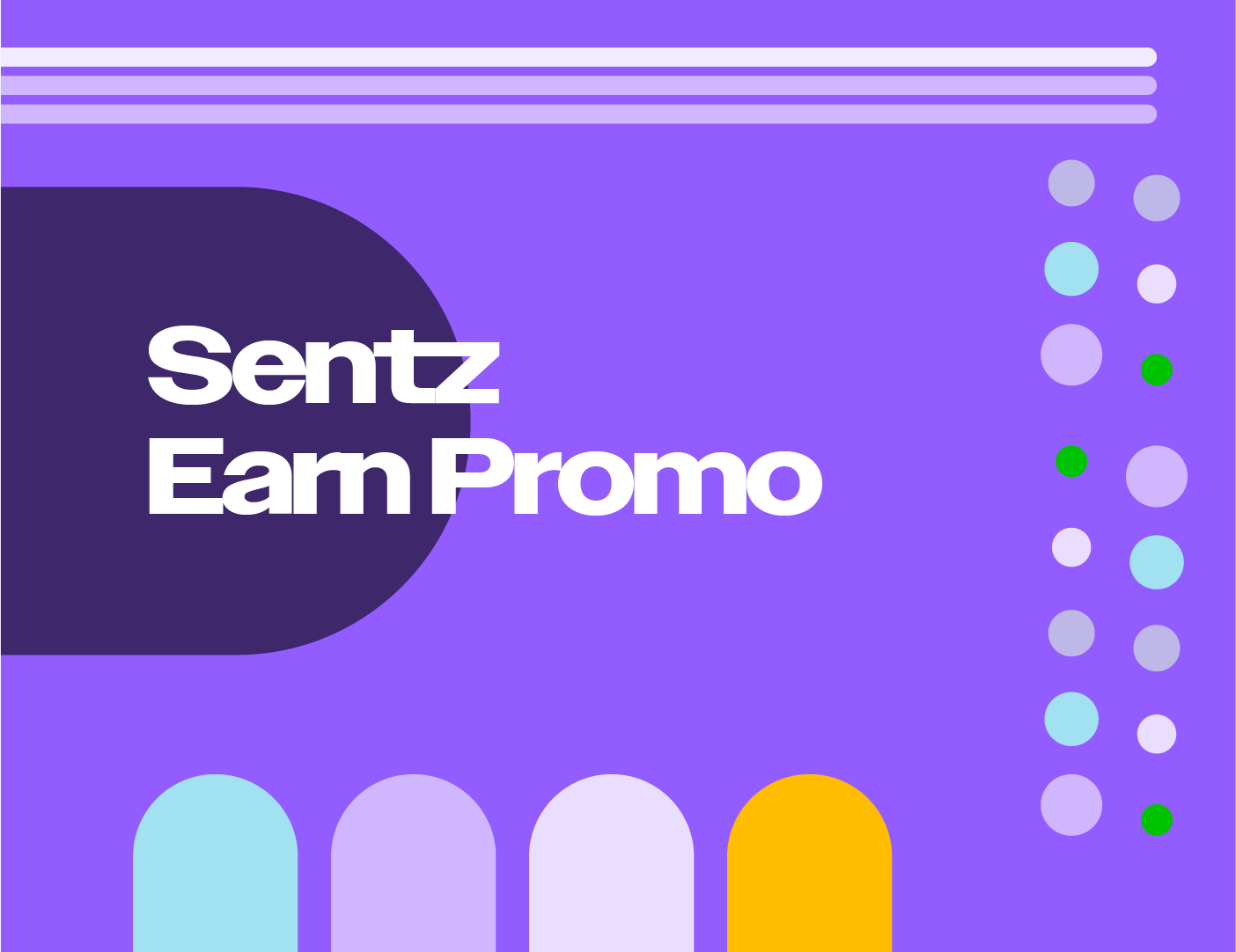 Sentz Earn