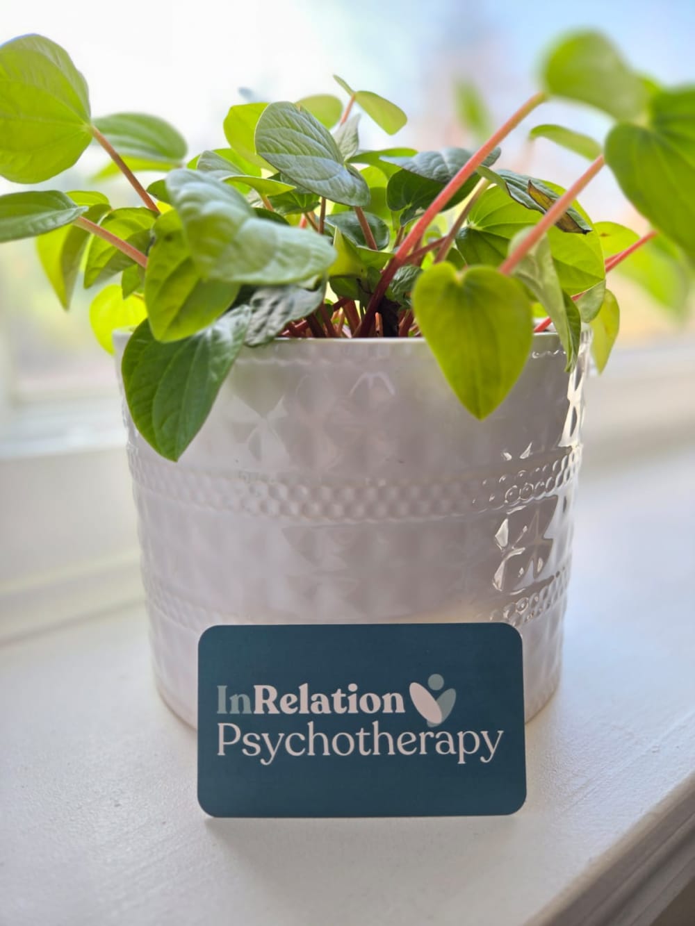 Potted plant beside an InRelation Psychotherapy card