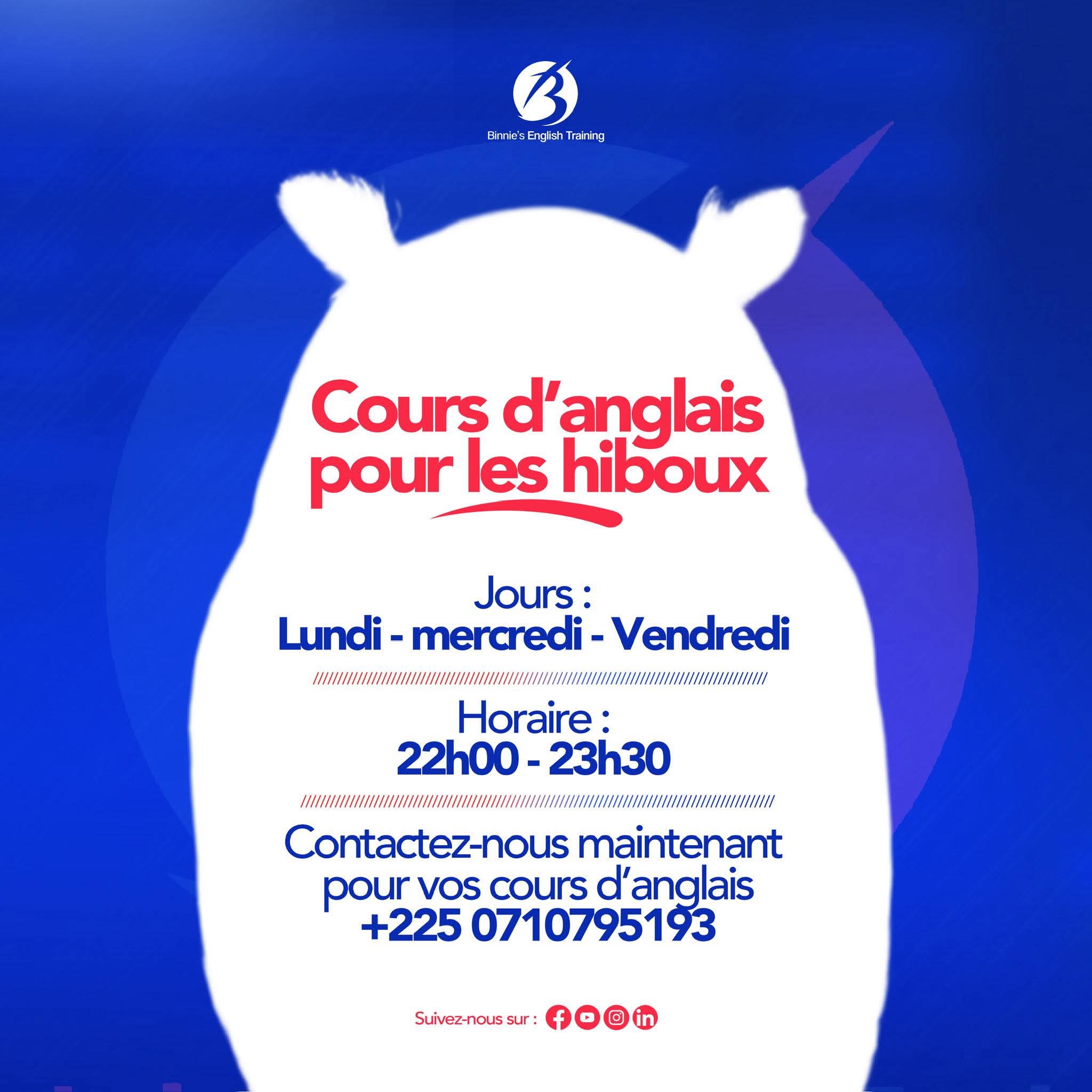 Owl Learner : campagne Binnie's English Training