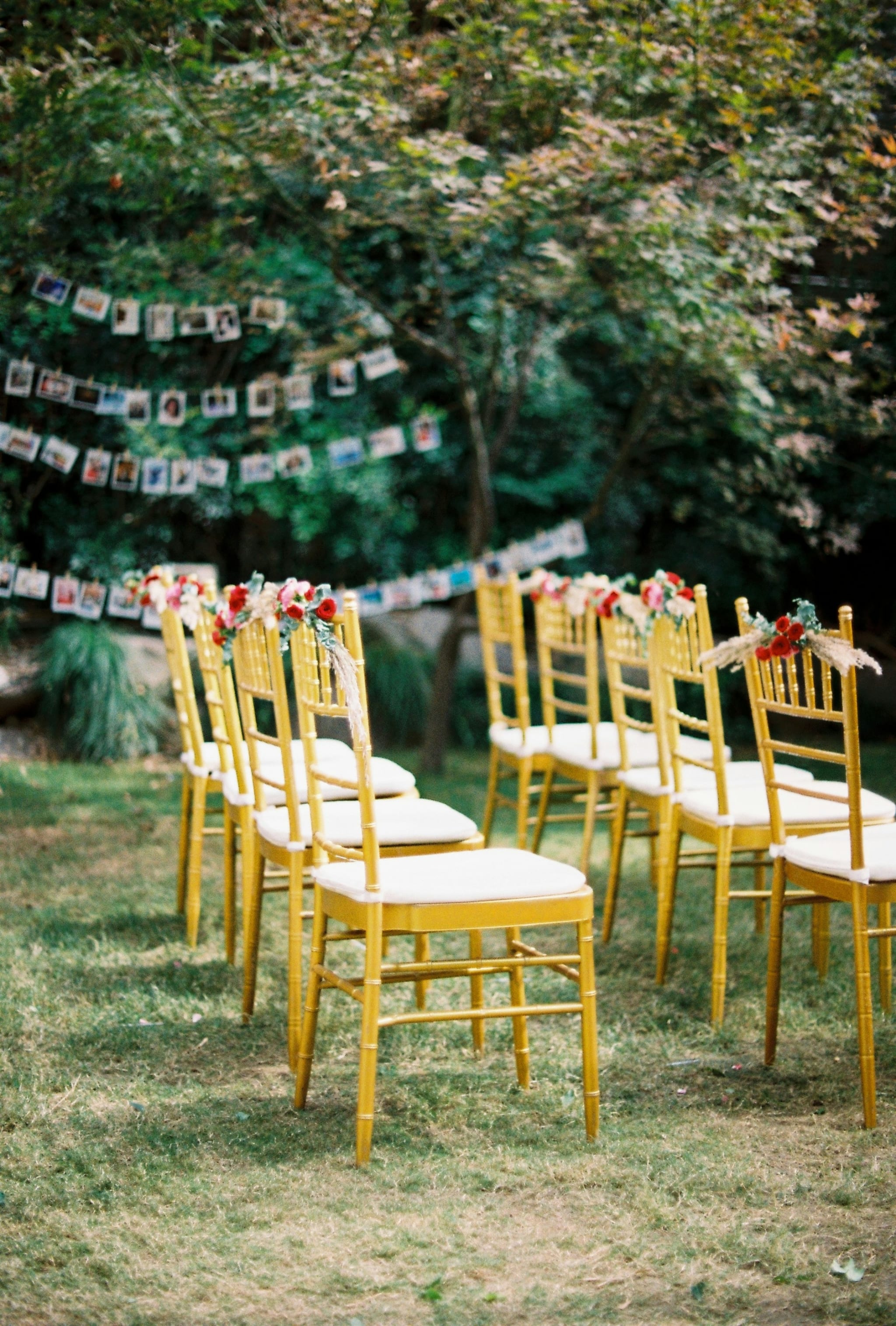 Party, event, image