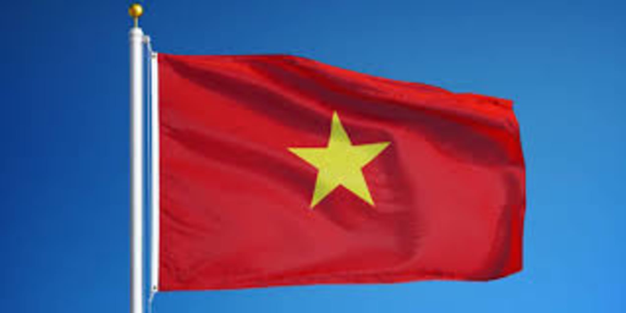 Vietnamese flag
