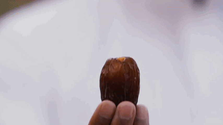 تذوق تنوع تمورنا العضوية
