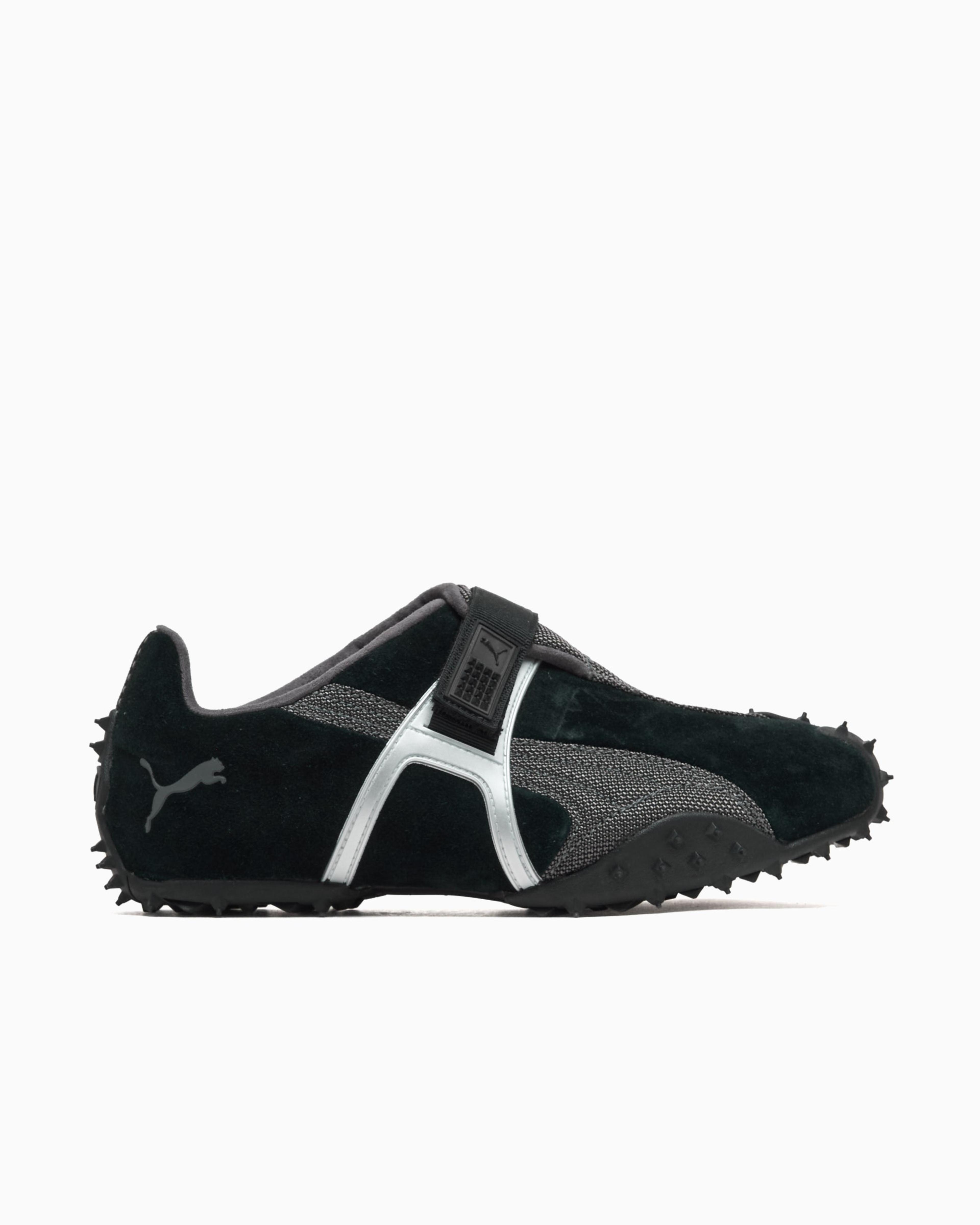 Puma RPT-2