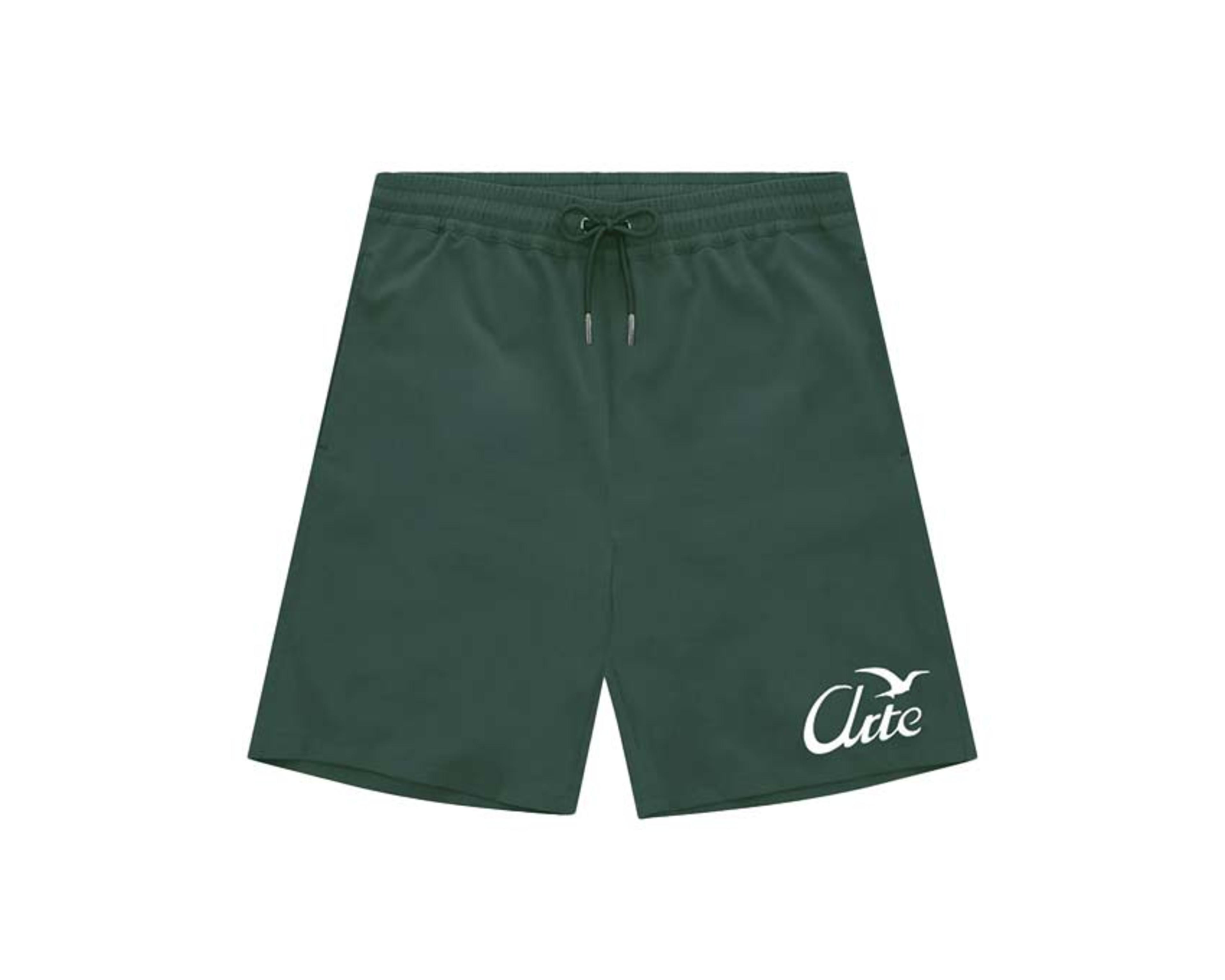Arte Birds Logo Shorts "Green"