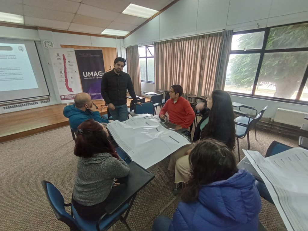 Iniciativa de Grupo Singular con UDEC busca revertir baja comercialización de lana magallánica.