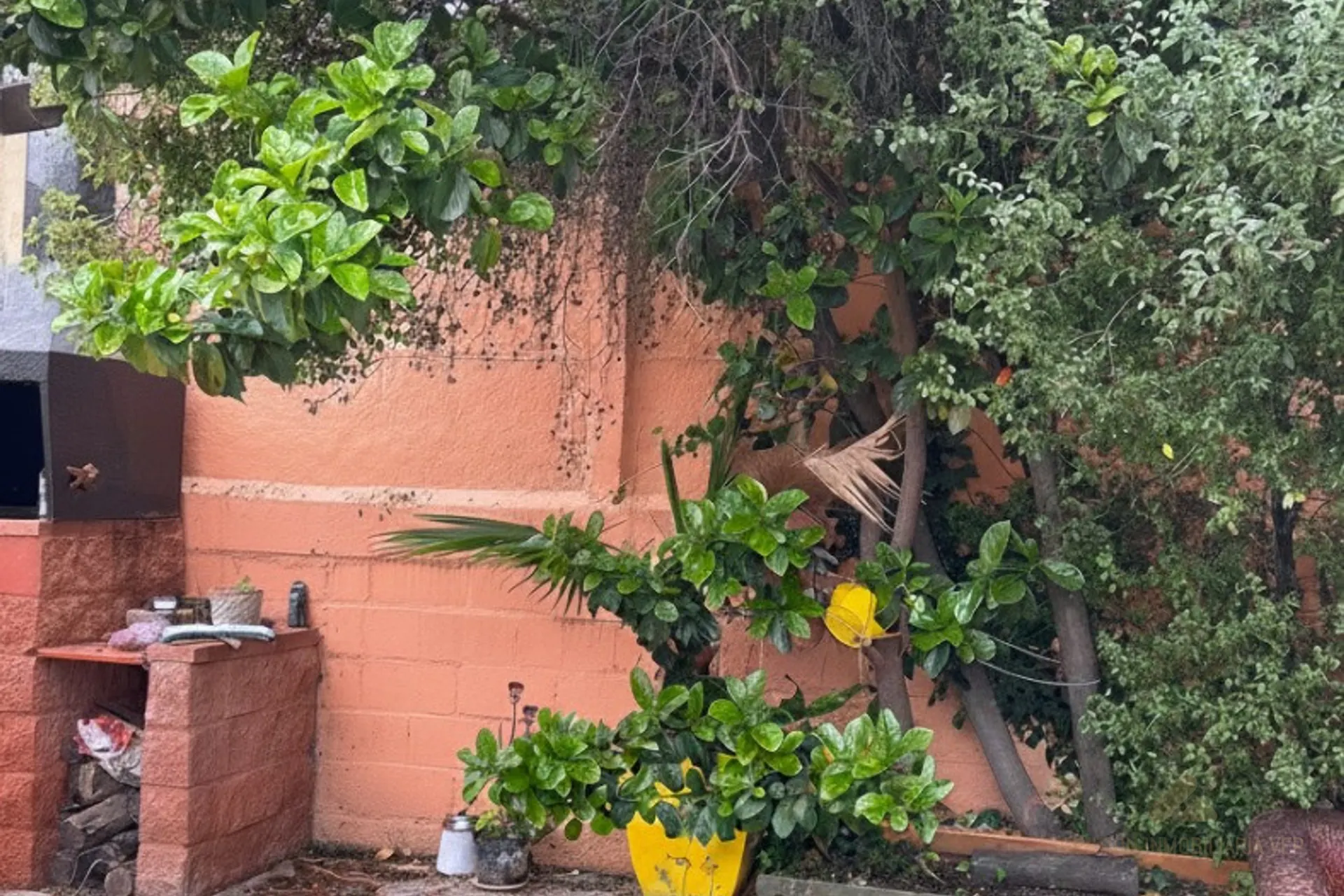 Casa Arrayan, 4d 2b, Piscina, Hacienda El Peñon, foto 16