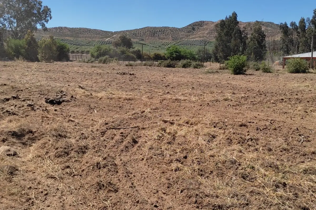 Parcela De 1.4 Hectareas, con ROL, Camino San José De Marchigue, Pichidegua