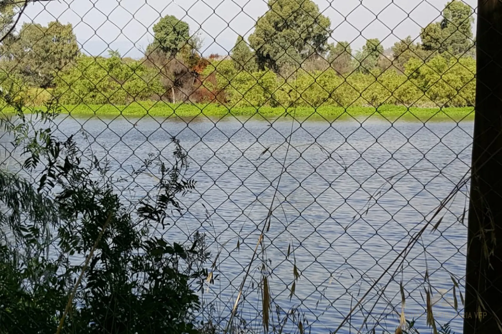 Parcela De 1.4 Hectareas, con ROL, Camino San José De Marchigue, Pichidegua, foto 5