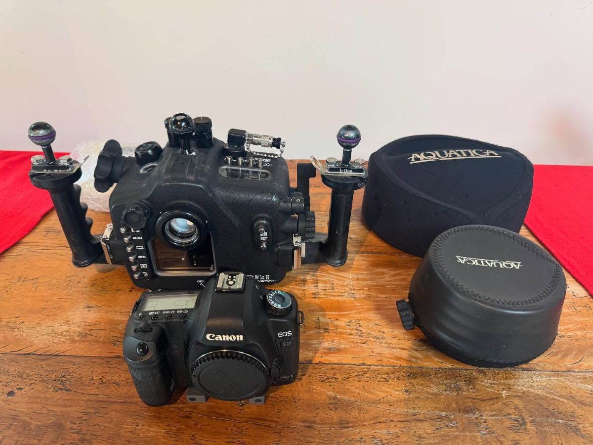 Kit de Fotografia Subaquática – Canon 5D Mark II