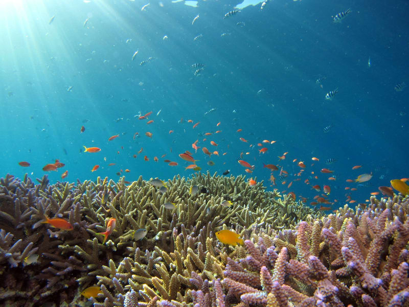 Bonaire