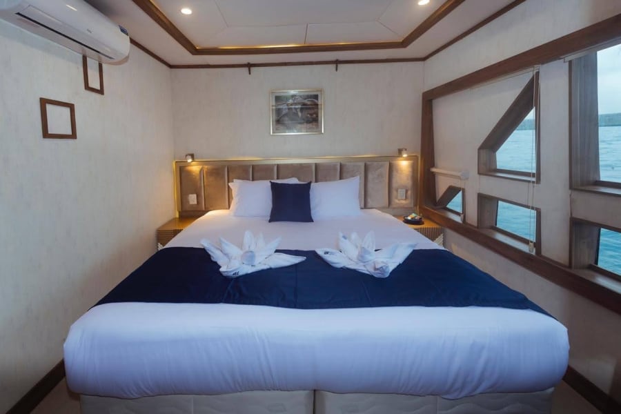 Cabine do Tiburon Explorer com cama de casal e janelas para o mar