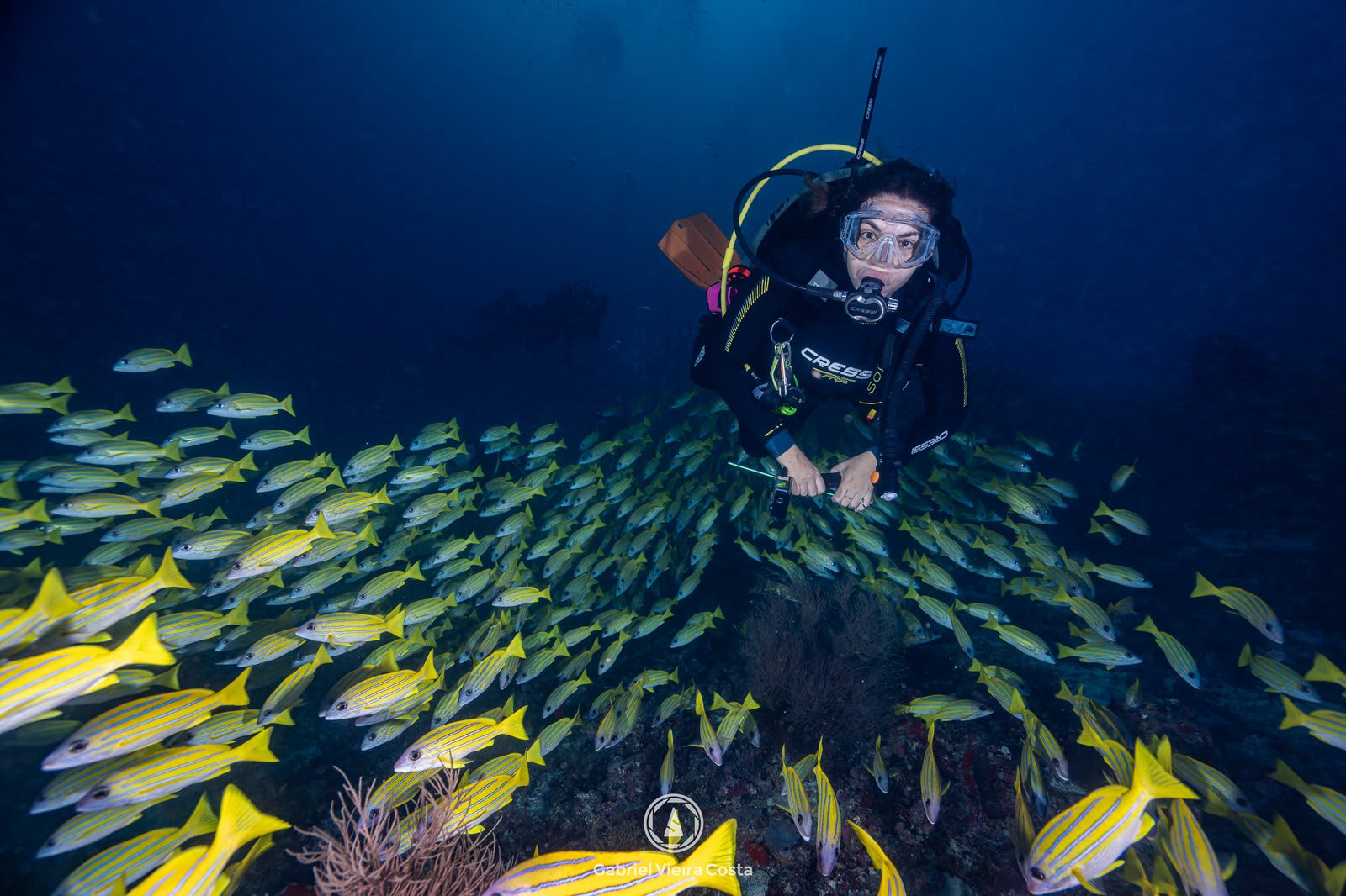 Como funciona a flutuabilidade no mergulho e por que ela é tão importante