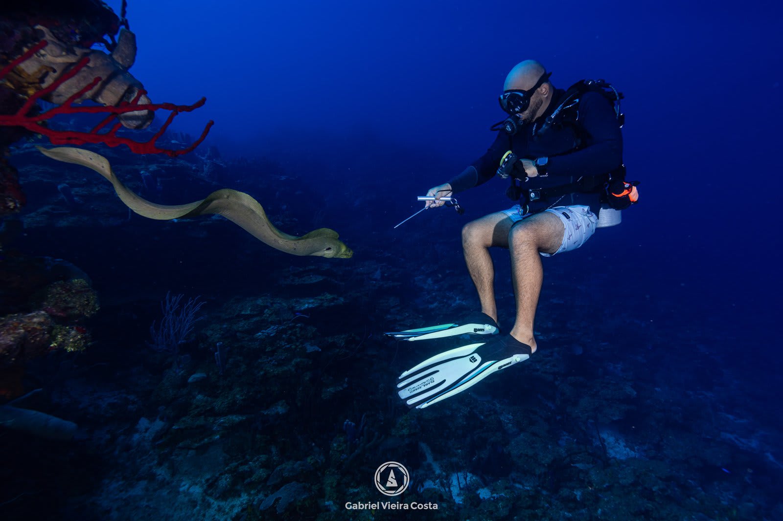 10 erros que iniciantes cometem ao começar a mergulhar (e como evitá-los)