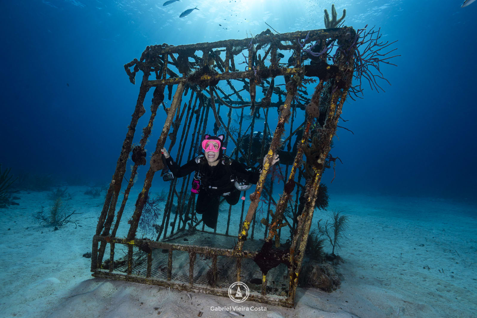 Medo de mergulhar: por que ele acontece e como superar com segurança