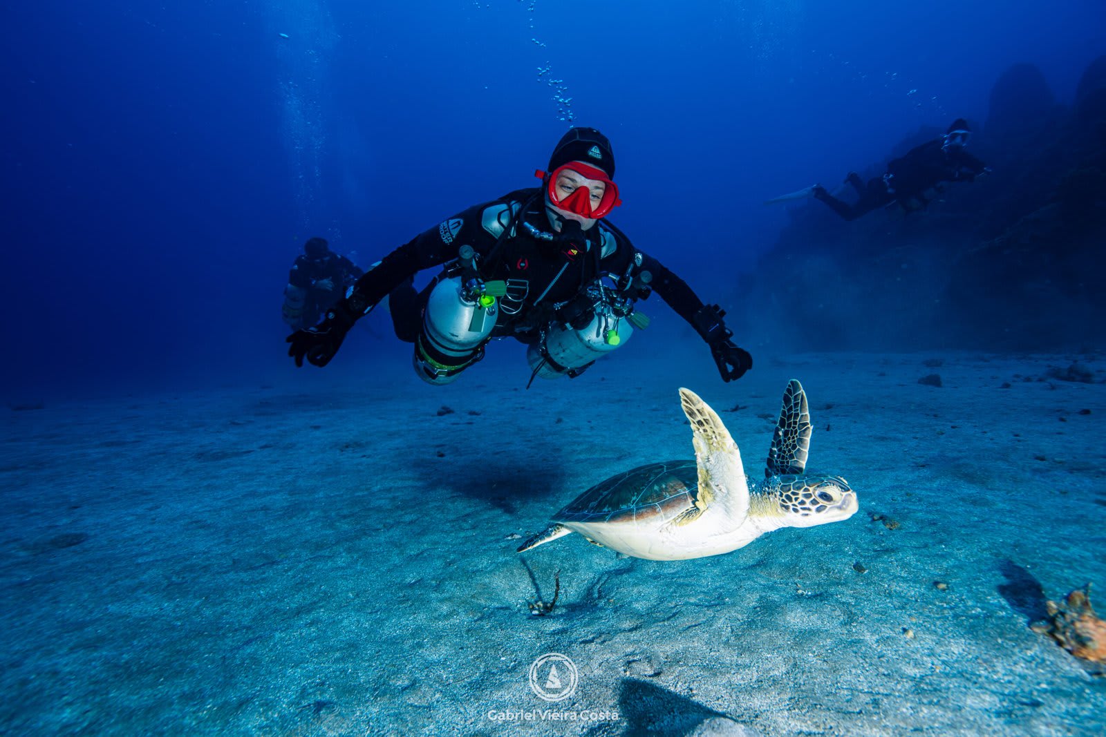 Como funciona o curso Open Water Scuba Diver: guia completo para iniciantes