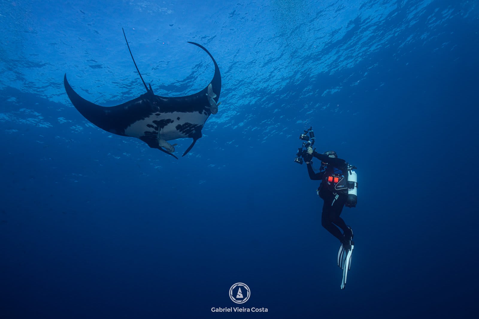 Fotografia subaquática para iniciantes: como começar e evitar os erros mais comuns