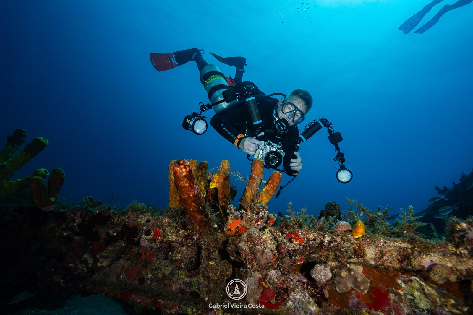 Qual a melhor câmera para fotografia subaquática? Guia completo para escolher a ideal