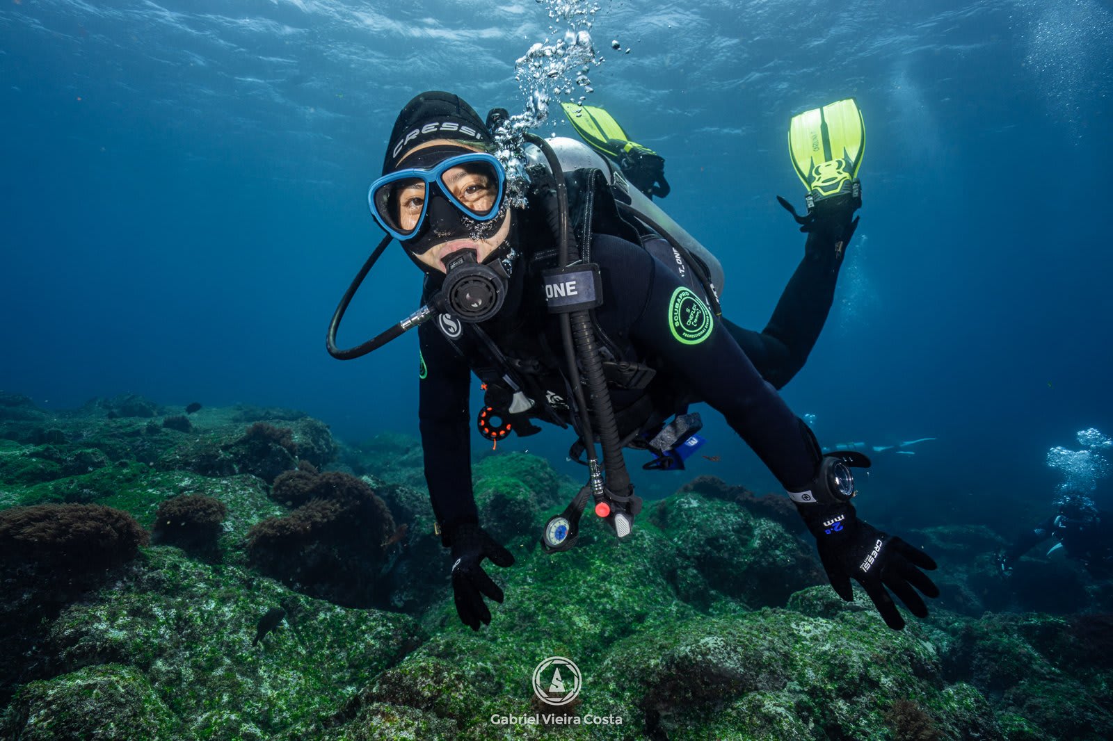 Guia completo do equipamento de mergulho: para que serve cada item