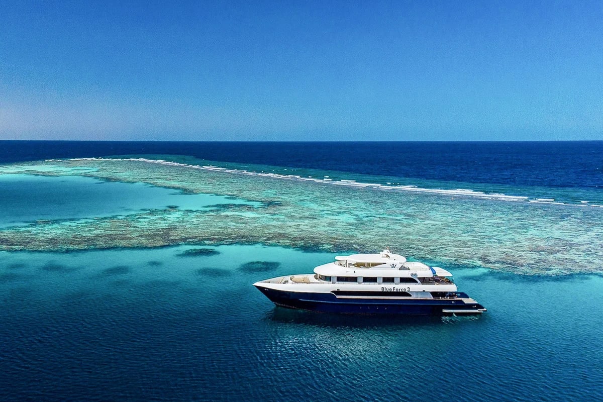 BlueForce 3 Liveaboard