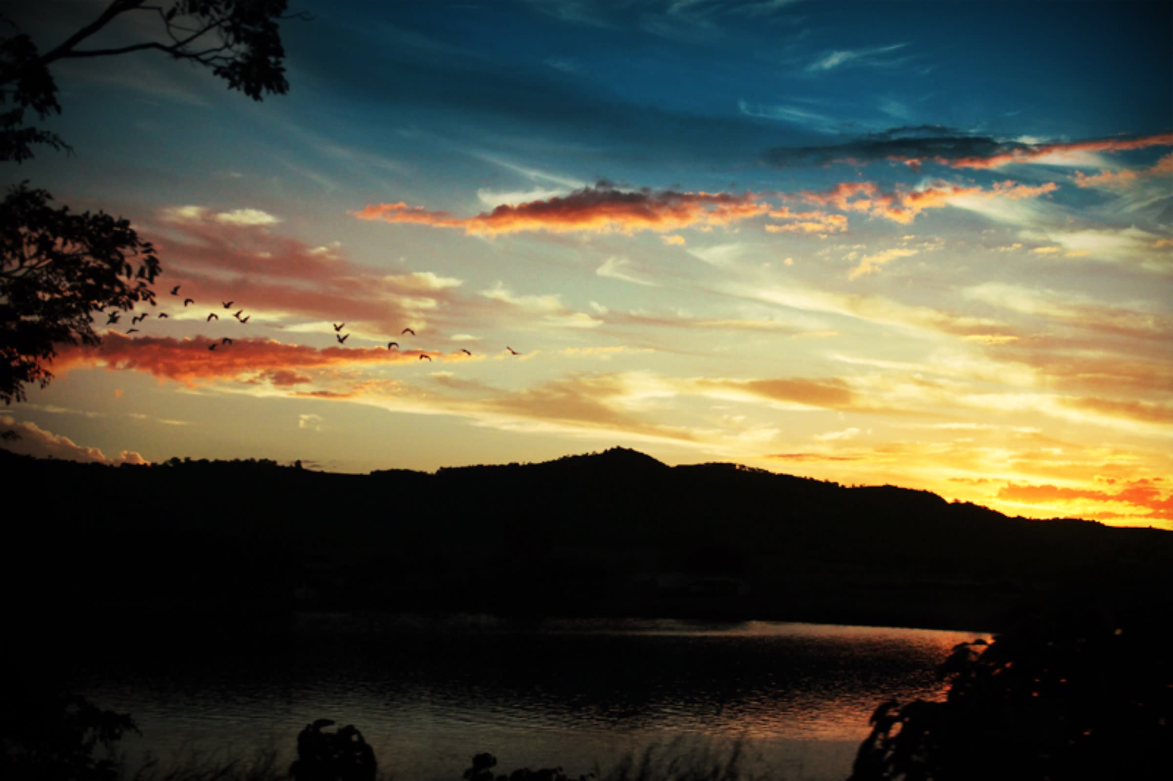 Pássaros no entardecer da Represa de Furnas