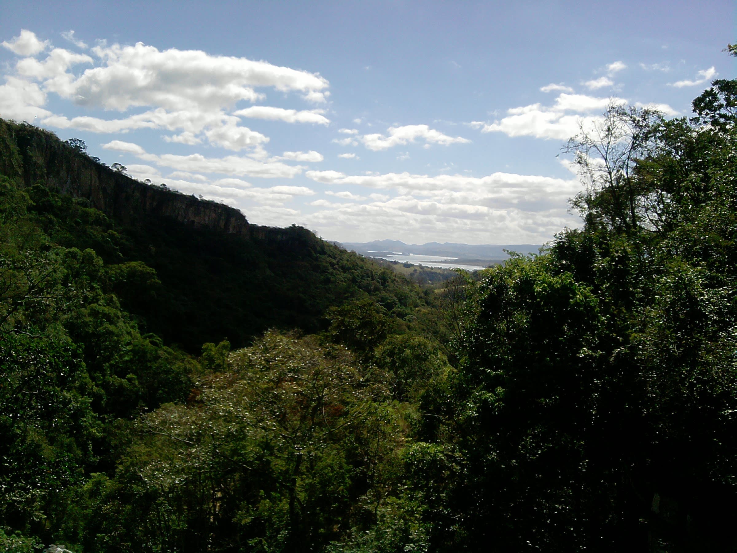 Mata e lago na região da Represa de Furnas