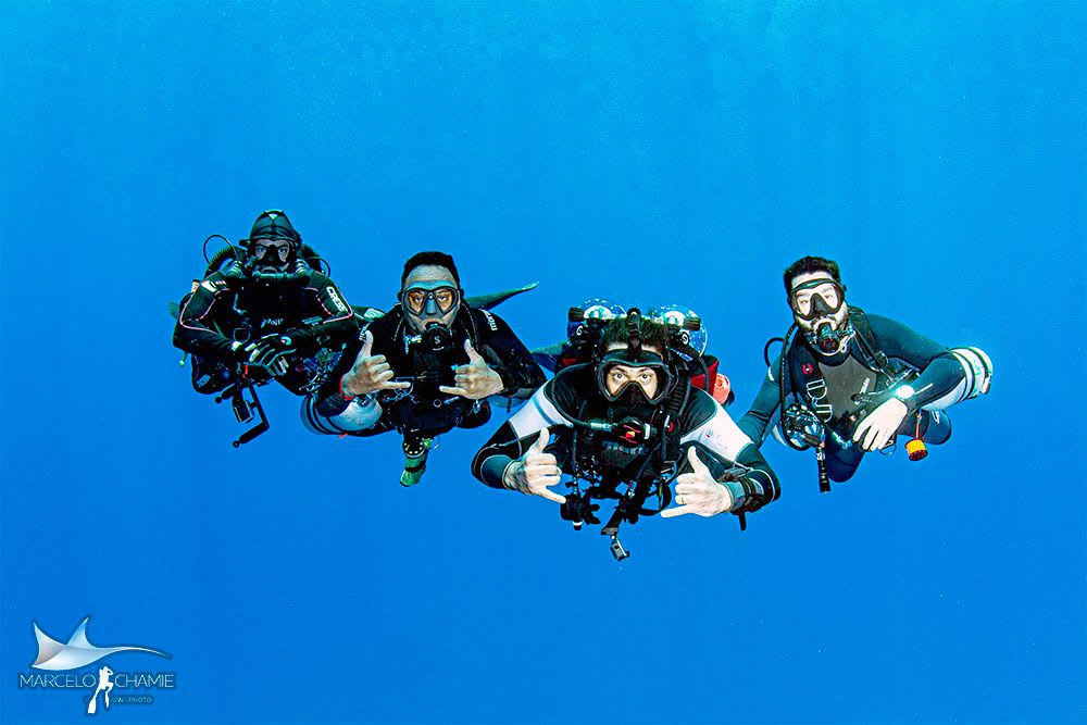 Team of divers, Recife