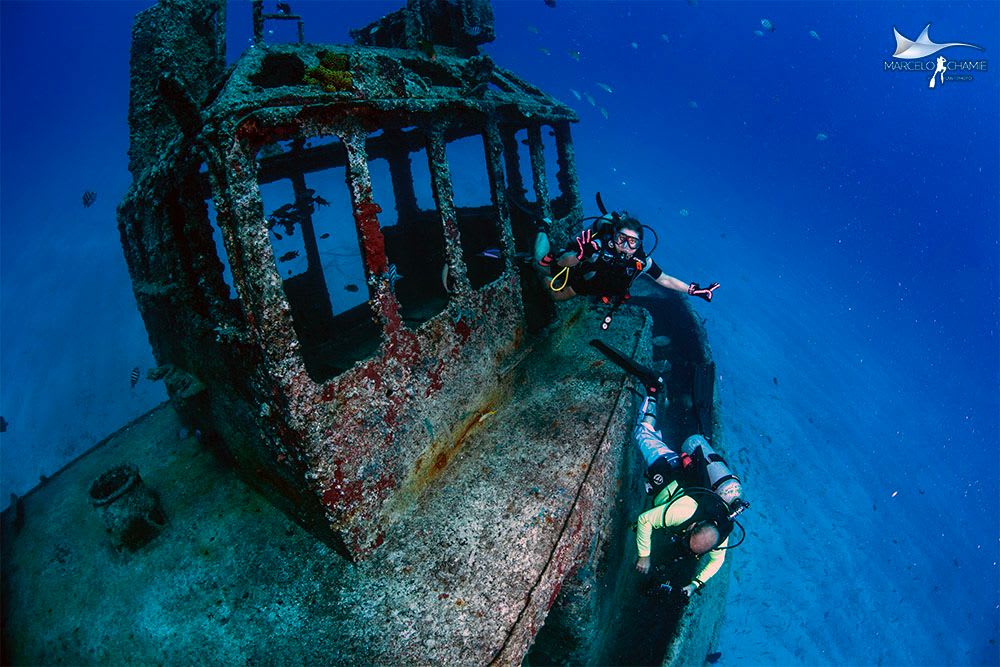Divers on a Recife shipwreck