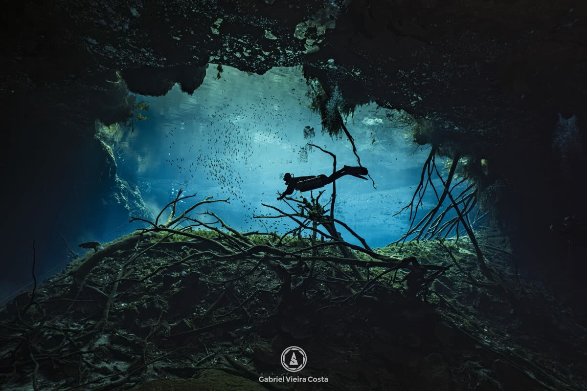Silhueta de mergulhador na luz azul de um cenote em Tulum