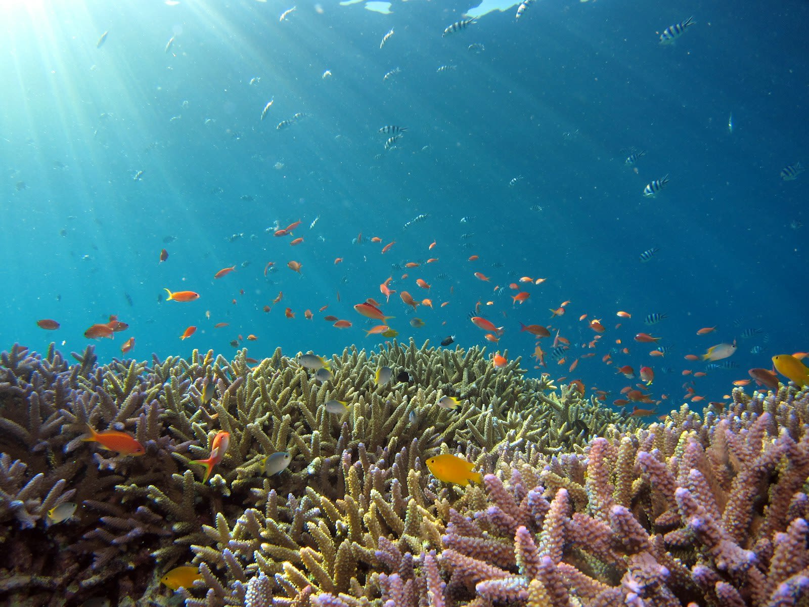 Pontos clássicos de Bonaire