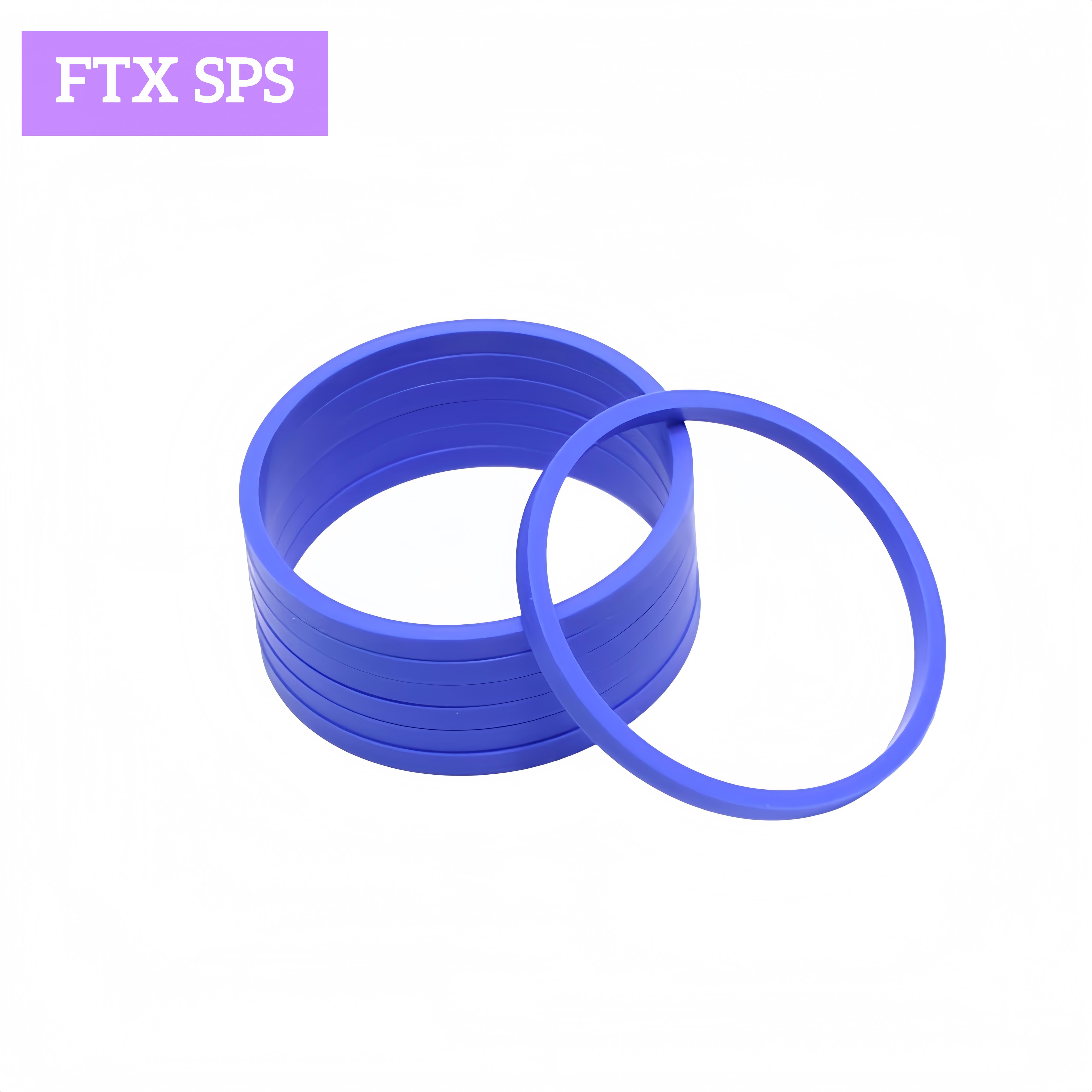 Backup Rings & Guide Rings