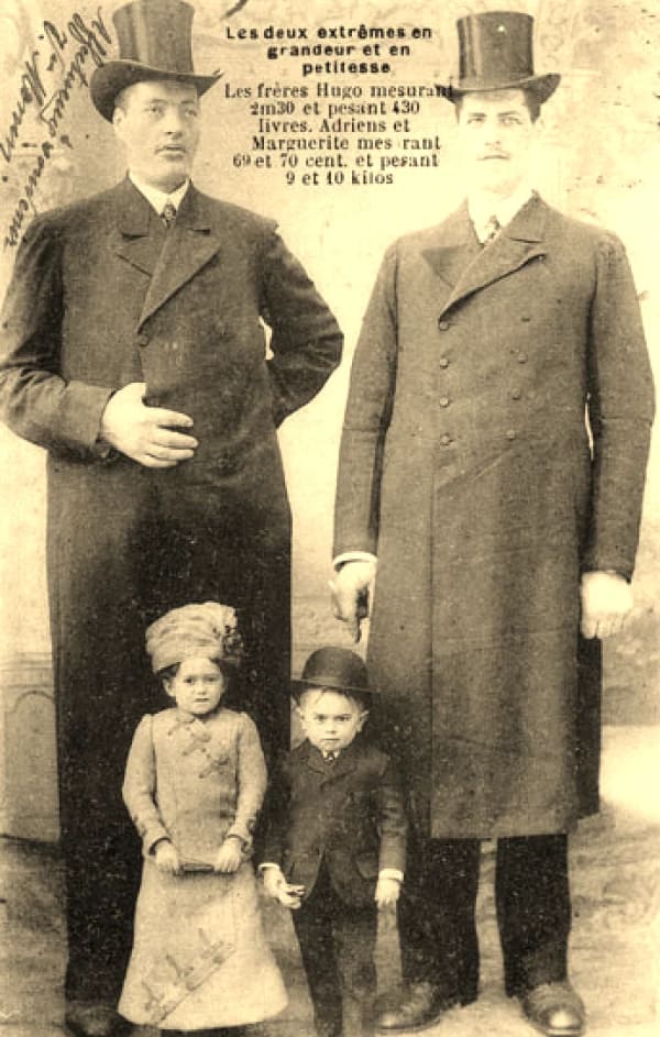 13 : Les groupes de phénomènes