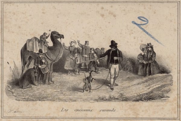 Les animaux savants