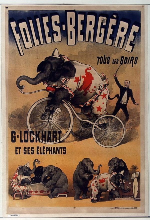Les éléphants