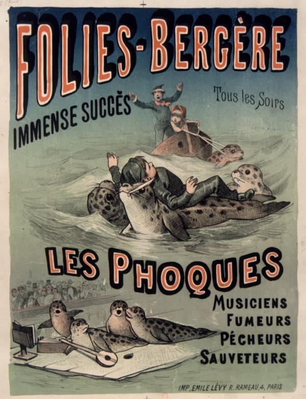 Les phoques et animaux marins