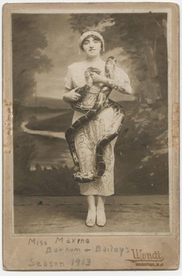 Les serpents et reptiles dressés