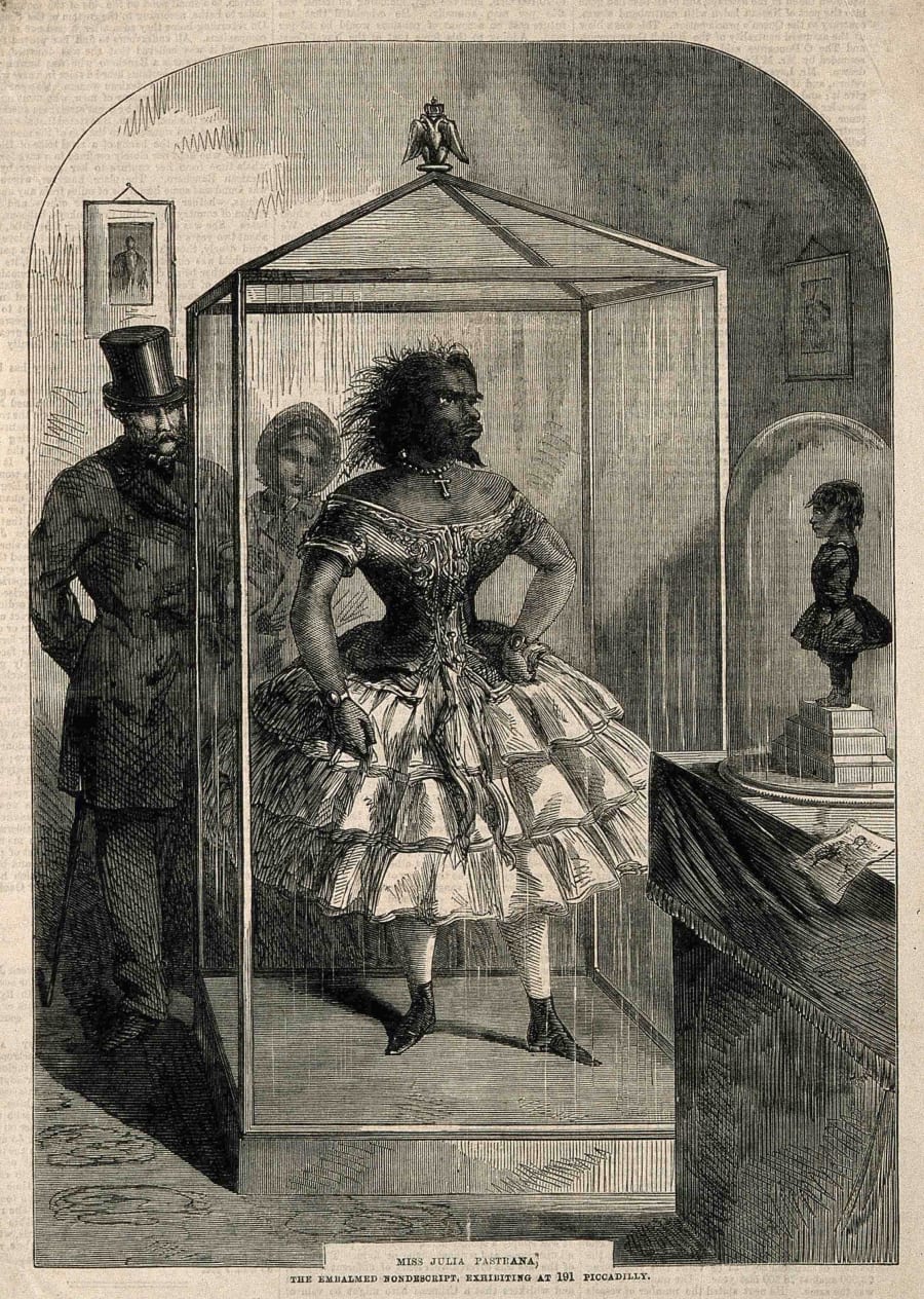 Illustration 6