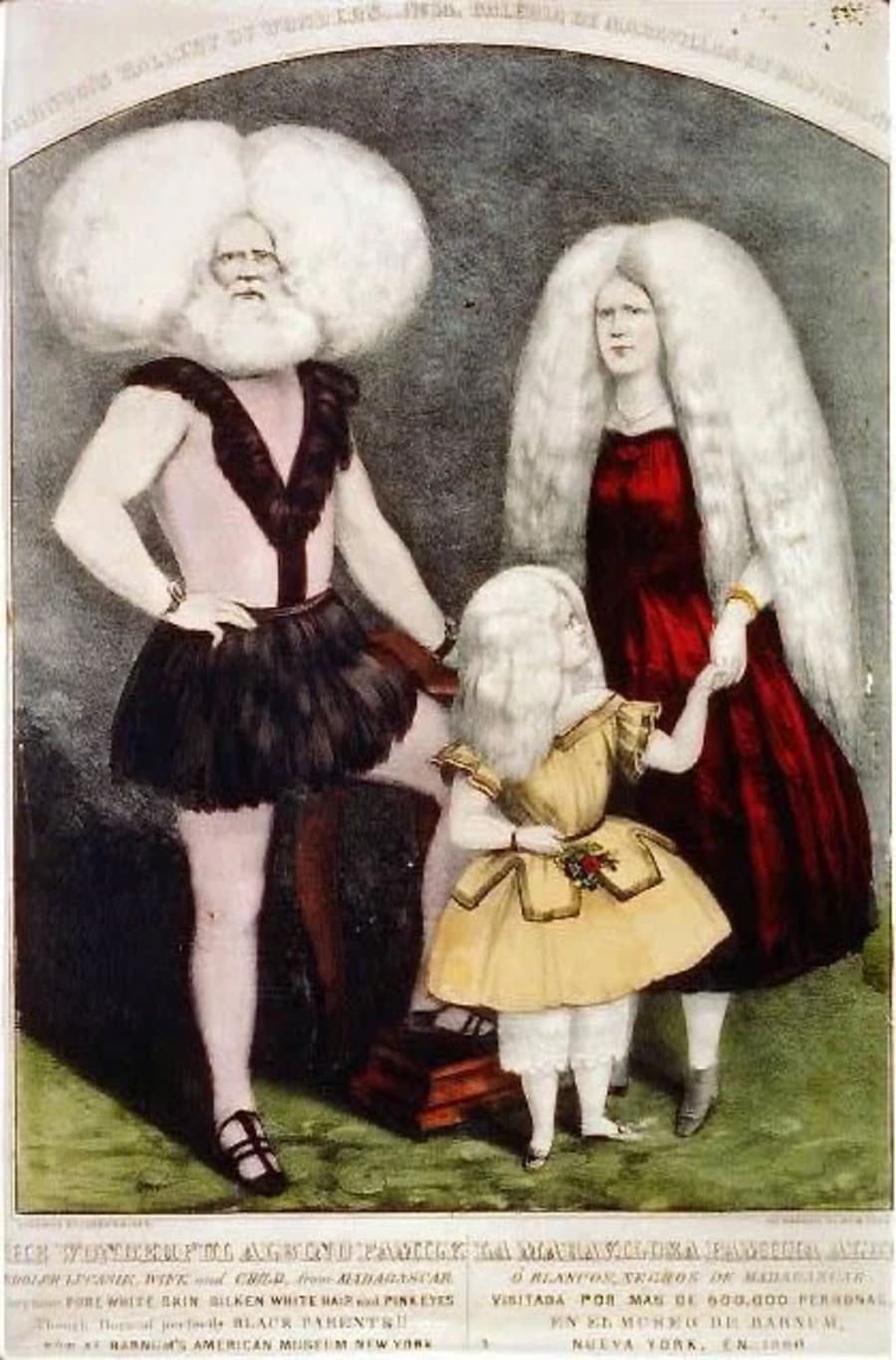 Illustration 6