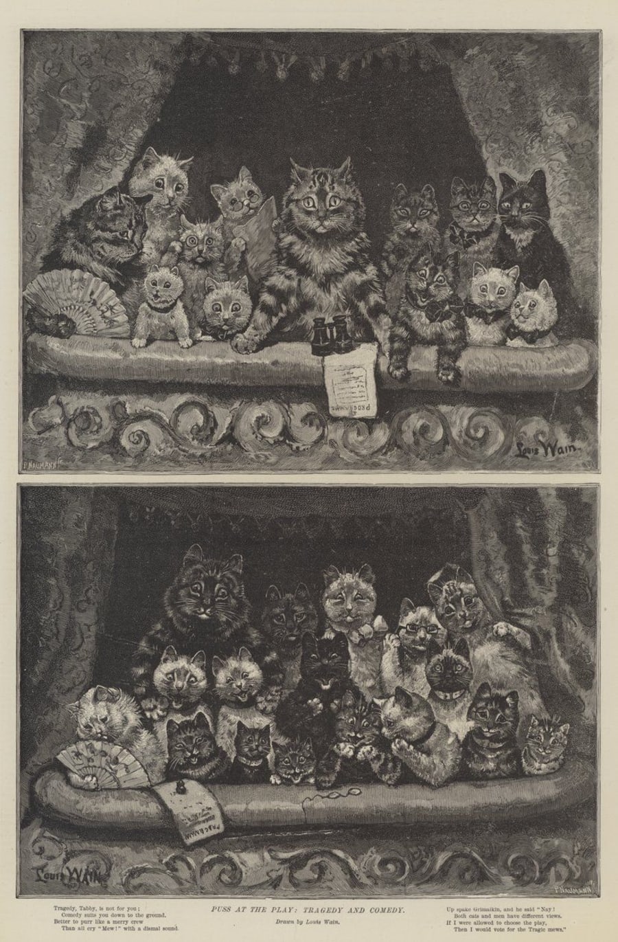 Illustration 4