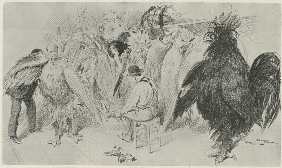 Illustration 7
