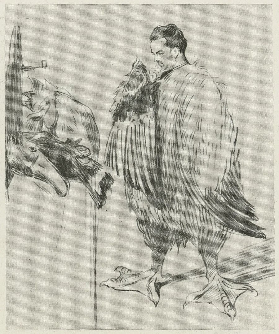 Illustration 8