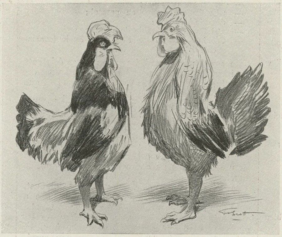 Illustration 9