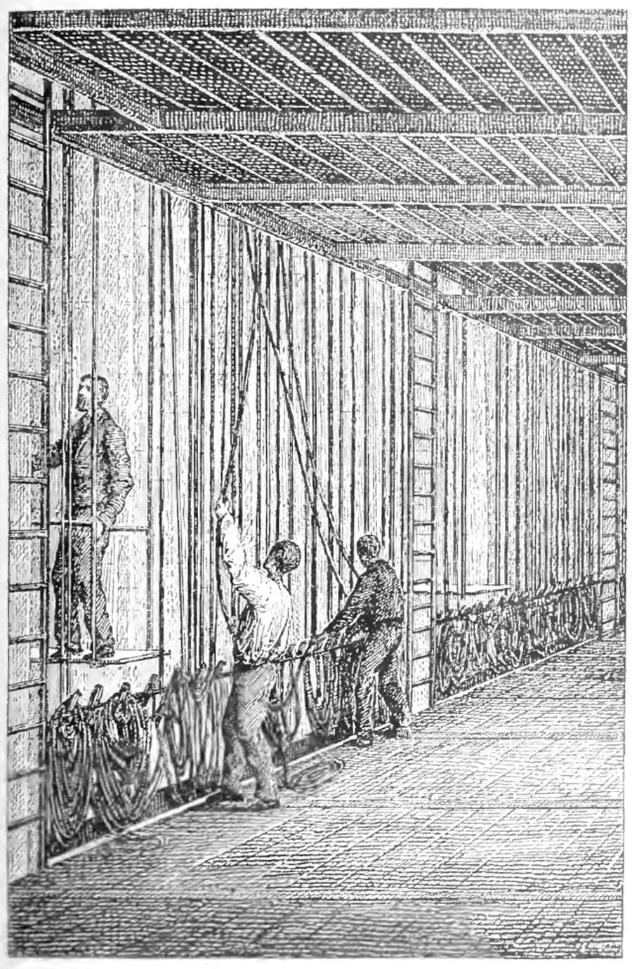 Illustration 4