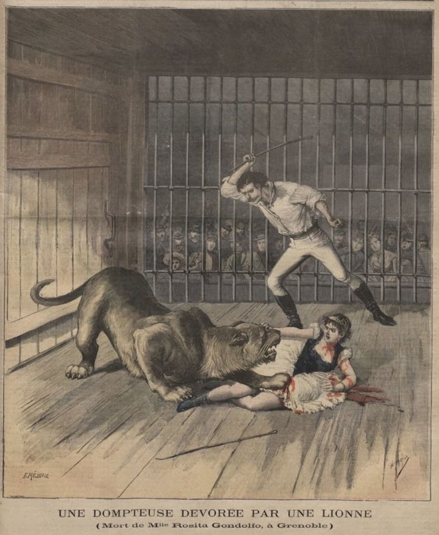 Illustration 12