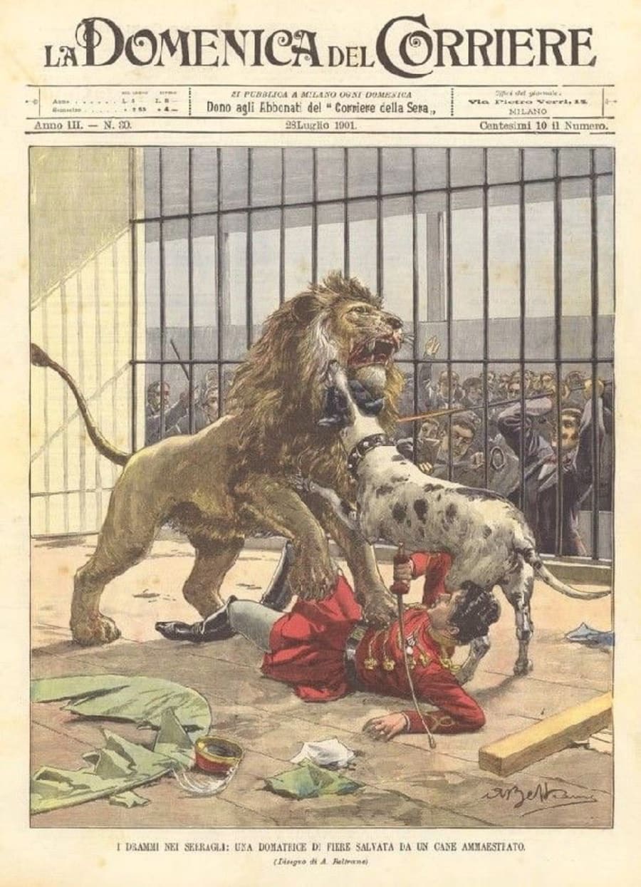 Illustration 13