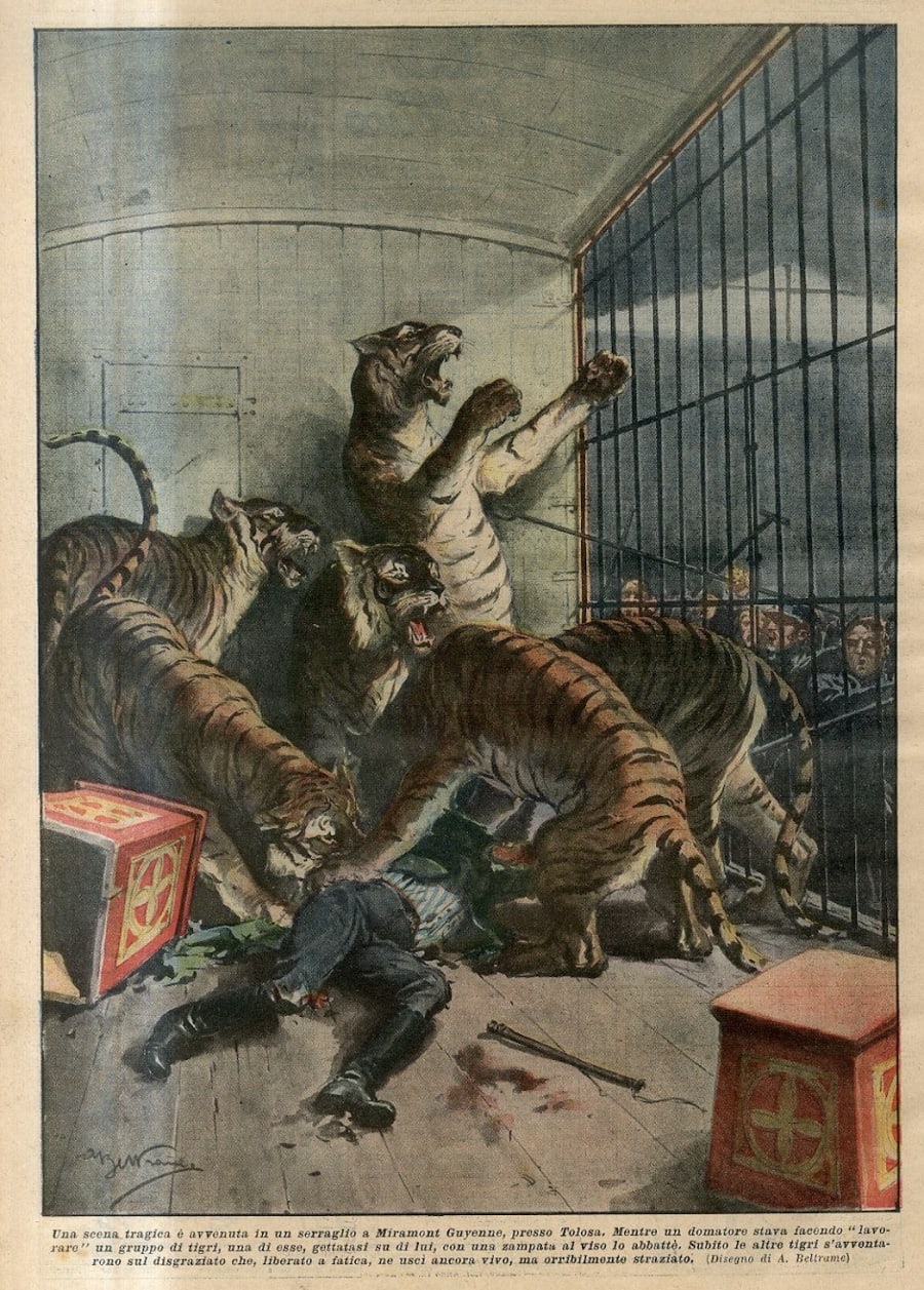 Illustration 24