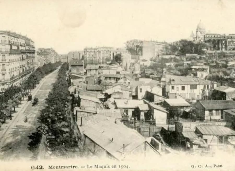 Illustration 13
