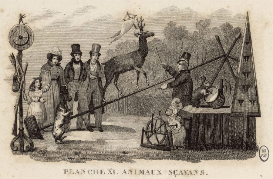 Illustration 2
